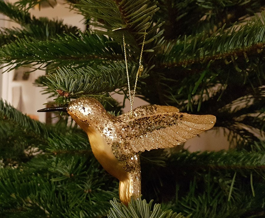 Kolibris verkar ha ersatt domherrar och påfåglar denna jul 2018. Foto: Kerstin Engstrand 