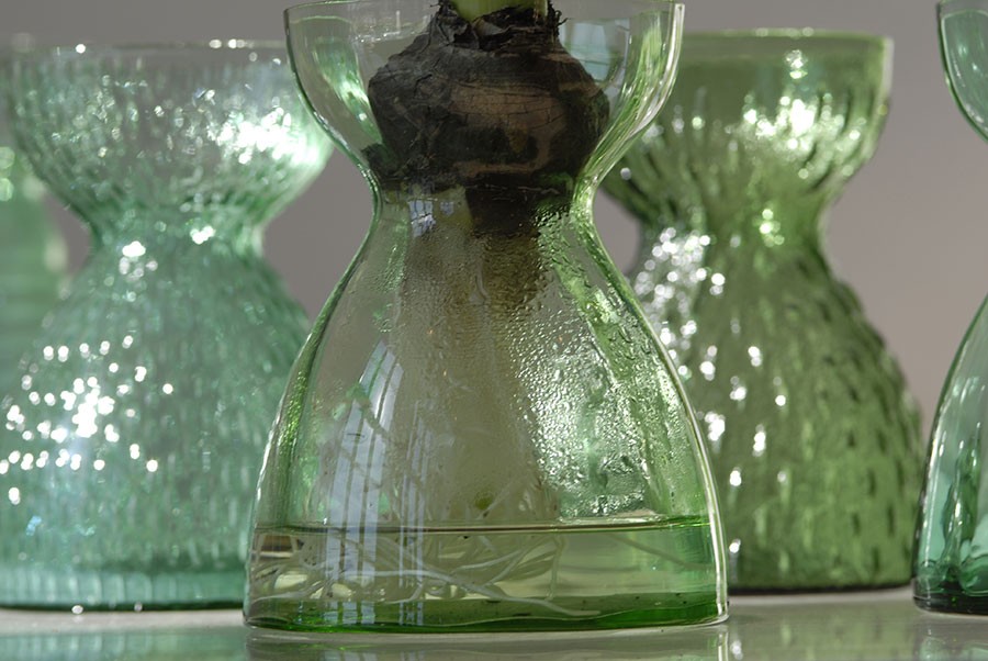 Hyacintglas. Foto: Kerstin Engstrand