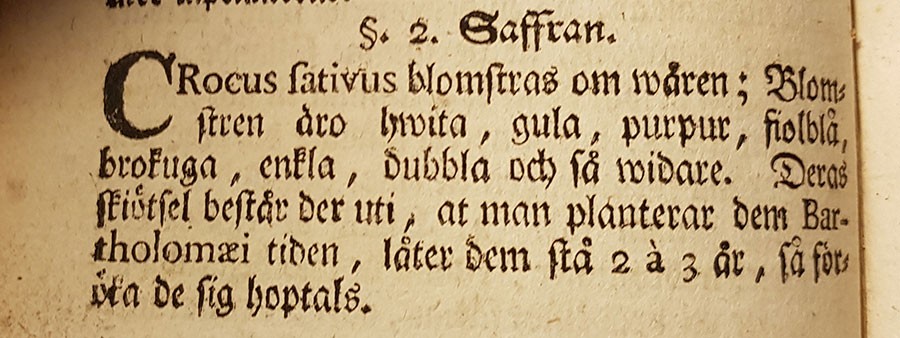 Crocus sativus är vad vi i dagligt tal kallar för saffranskrokus. Texten är från en trädgårdsbok från 1744 som tillhört trädgårdsmästaren G. Carlsson i Göteborg. Foto: Kerstin Engstrand 